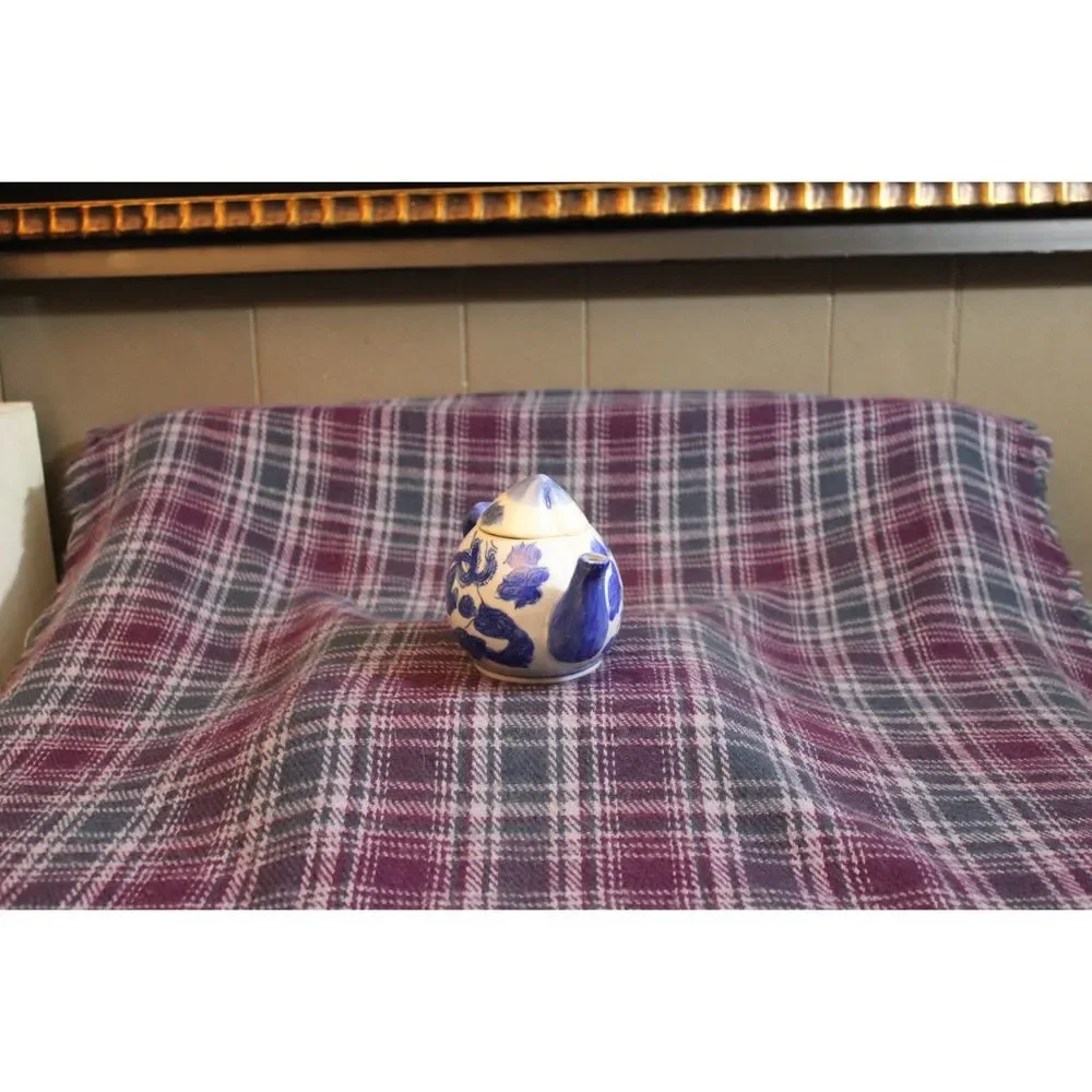 Pier 1 Blue and White  Ceramic Phoenix Dragon Individual Tea Pot
